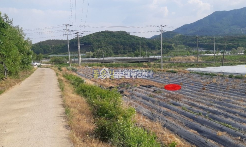 경북 상주시 모서면 지산리 모서면 지산리 농업보호구역 전 237평 매매 매물번호 10622 사진 1