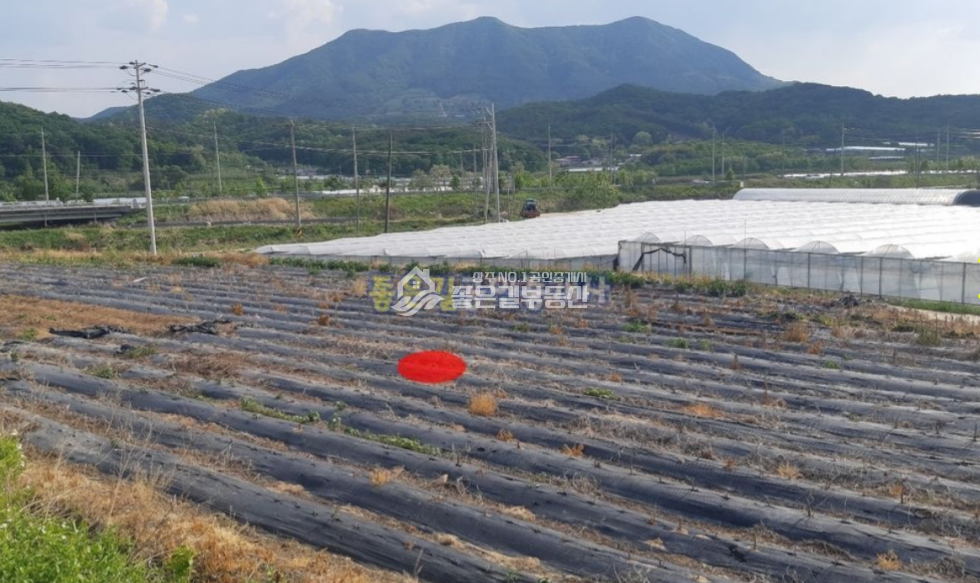 경북 상주시 모서면 지산리 모서면 지산리 농업보호구역 전 237평 매매 매물번호 10622 사진 2