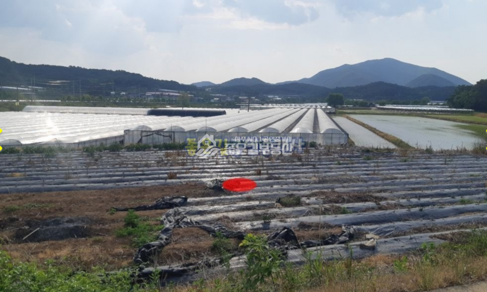 경북 상주시 모서면 지산리 모서면 지산리 농업보호구역 전 237평 매매 매물번호 10622 사진 6