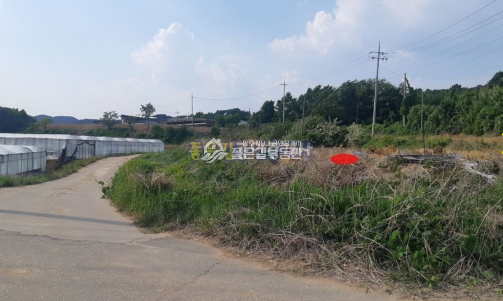 경북 상주시 모서면 지산리 모서면 지산리 농업보호구역 전 237평 매매 매물번호 10622 사진 8