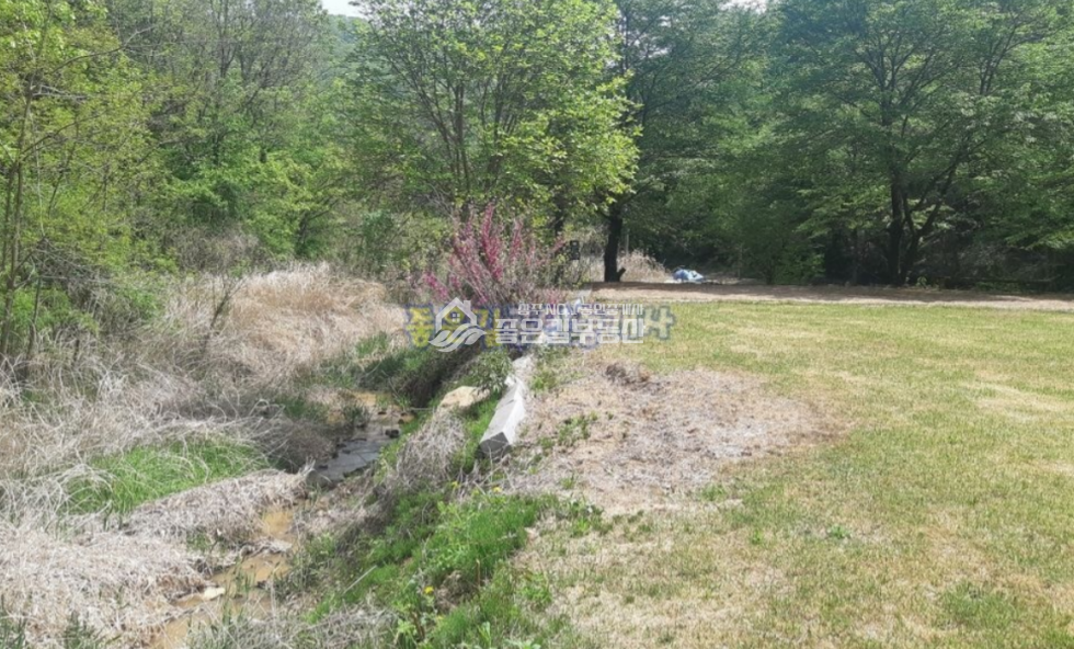 경북 상주시 내서면 평지리 내서면 평지리 골짜기 계획관리 2,660평 매매 매물번호 10628 사진 3