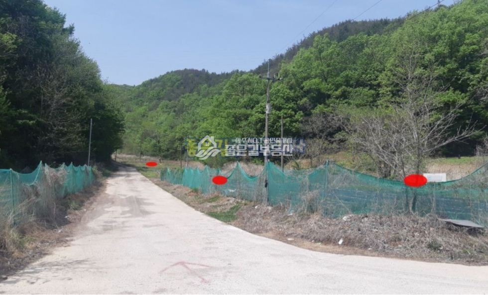 경북 상주시 내서면 평지리 내서면 평지리 골짜기 계획관리 2,660평 매매 매물번호 10628 사진 7