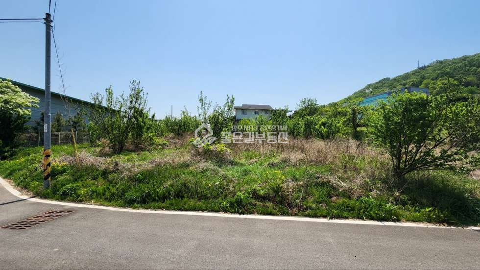 경북 상주시 만산동 만산동 자연녹지지역 개발지(528평) 매매 매물번호 10988 사진 3