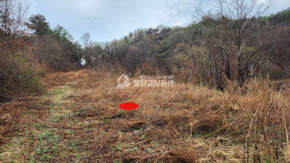 경북 상주시 외서면 가곡리 외서면 가곡리 계획관리(전 255평) 매매 매물번호 10899 사진 5