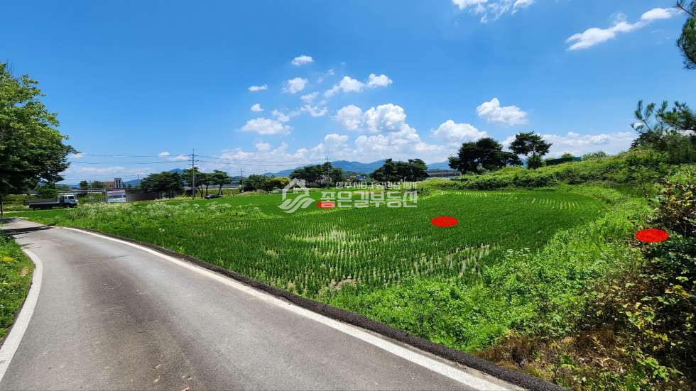 경북 상주시 만산동 만산동 자연녹지 개발지(답893평) 매매 매물번호 11104 사진 1