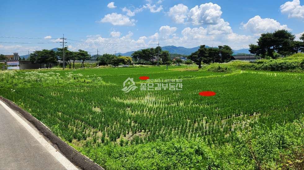 경북 상주시 만산동 만산동 자연녹지 개발지(답893평) 매매 매물번호 11104 사진 2