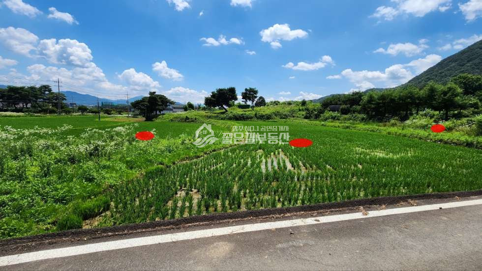 경북 상주시 만산동 만산동 자연녹지 개발지(답893평) 매매 매물번호 11104 사진 3