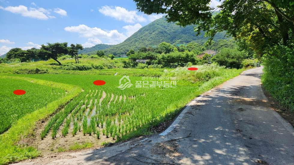 경북 상주시 만산동 만산동 자연녹지 개발지(답893평) 매매 매물번호 11104 사진 4