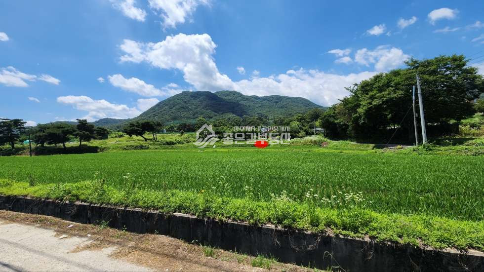 경북 상주시 만산동 만산동 자연녹지 개발지(답893평) 매매 매물번호 11104 사진 5