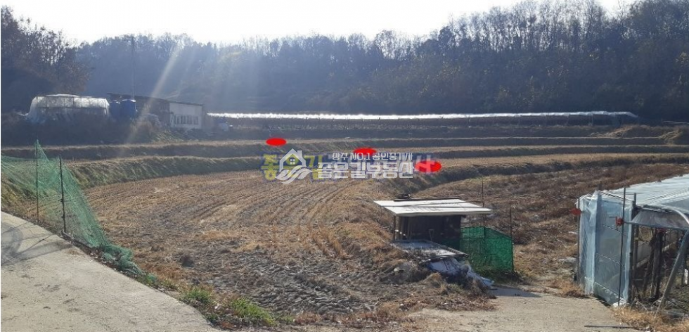 경북 상주시 공성면 산현리 공성면 산현리 외딴곳 저렴한 농지(답 1,207평) 매매 매물번호 10375 사진 4