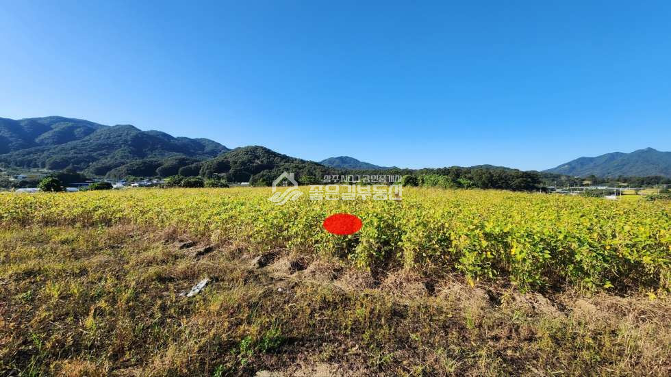 경북 상주시 공성면 도곡리 공성면 도곡리 언덕위 대형부지(약4,349평) 매매 매물번호 11236 사진 2