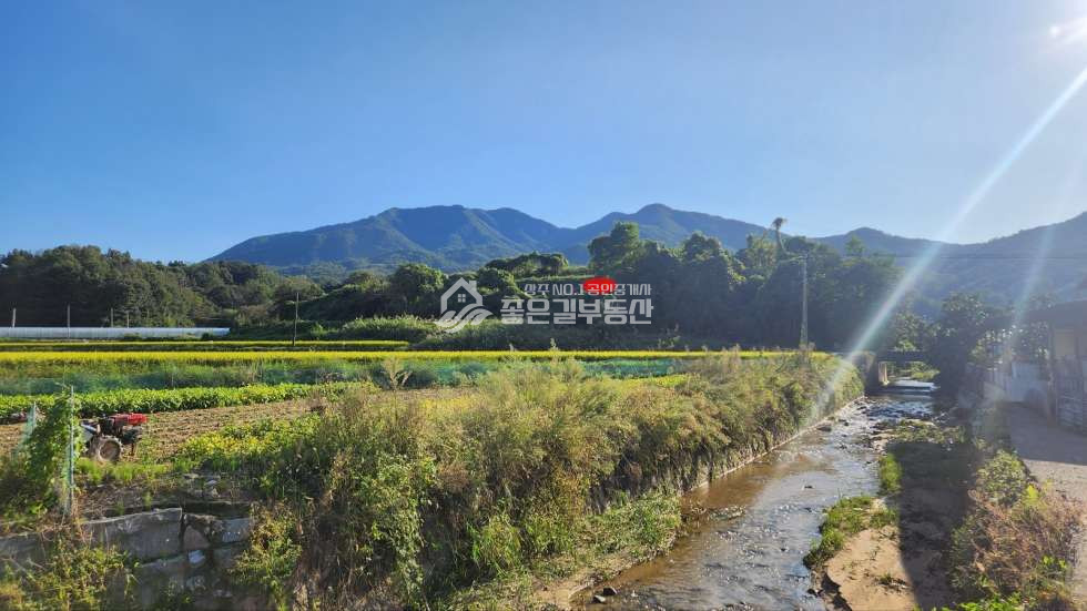 경북 상주시 공성면 도곡리 공성면 도곡리 언덕위 대형부지(약4,349평) 매매 매물번호 11236 사진 9
