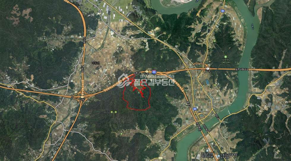 경북 상주시 낙동면 상촌리 낙동면 상촌리 대형 임야 324,485평 매매 매물번호 11293 사진 3