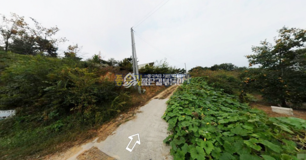 경북 상주시 인평동 인평동 감나무밭 계획관리지역 임야 4,000평 매매 매물번호 10399 사진 3