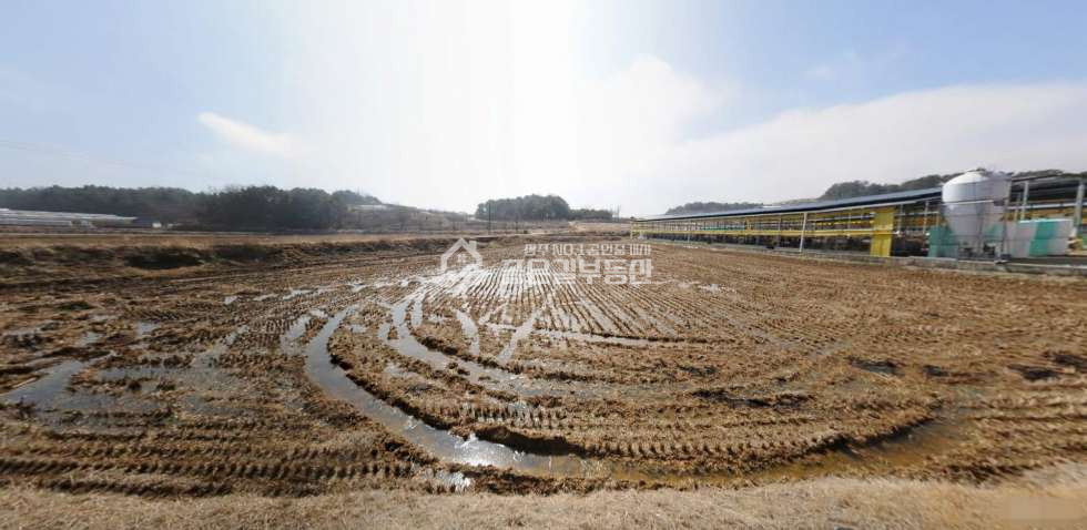 경북 상주시 사벌국면 용담리 사벌국면 용담리 농지(답817평) 매매 매물번호 11298 사진 2