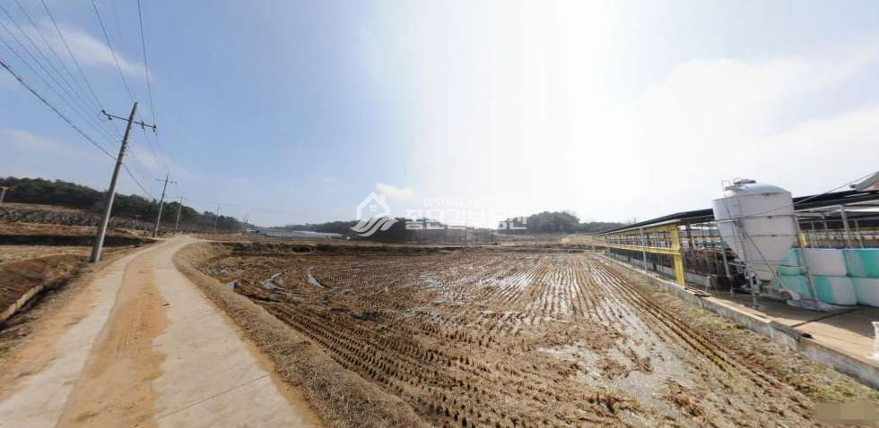 경북 상주시 사벌국면 용담리 사벌국면 용담리 농지(답817평) 매매 매물번호 11298 사진 3