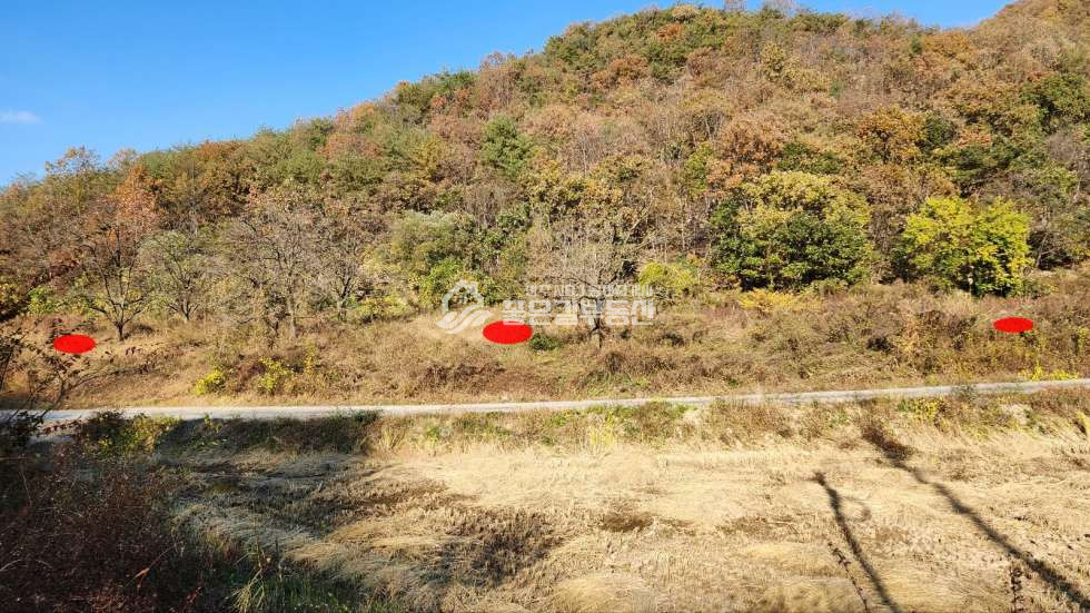 경북 상주시 화서면 상곡리 상곡리 2차선도로변 개발지(약1,687평) 매매 매물번호 11301 사진 5