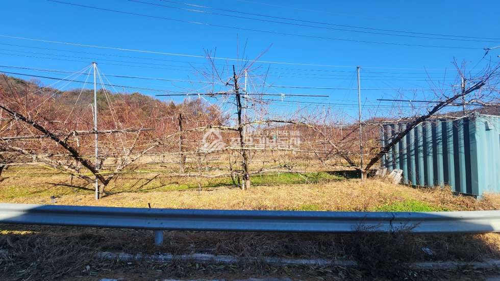 경북 상주시 외서면 연봉리 접근성,홍보효과 굿~! 연봉리 계획관리 답 411평 매매 매물번호 11248 사진 3