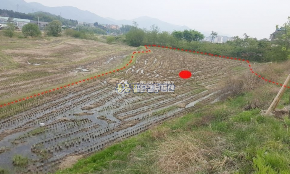 경북 상주시 만산동 만산동 6차선대로접 개발지 답928평 매매 매물번호 10109 사진 2