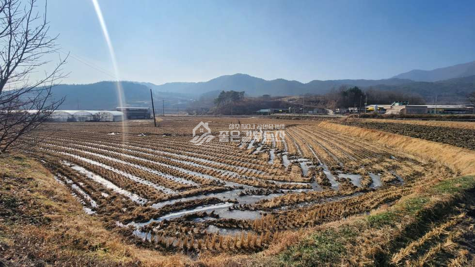 경북 상주시 연원동 연원동 2차선도로접 진흥구역 농지(답1,500평) 매매 매물번호 11420 사진 1