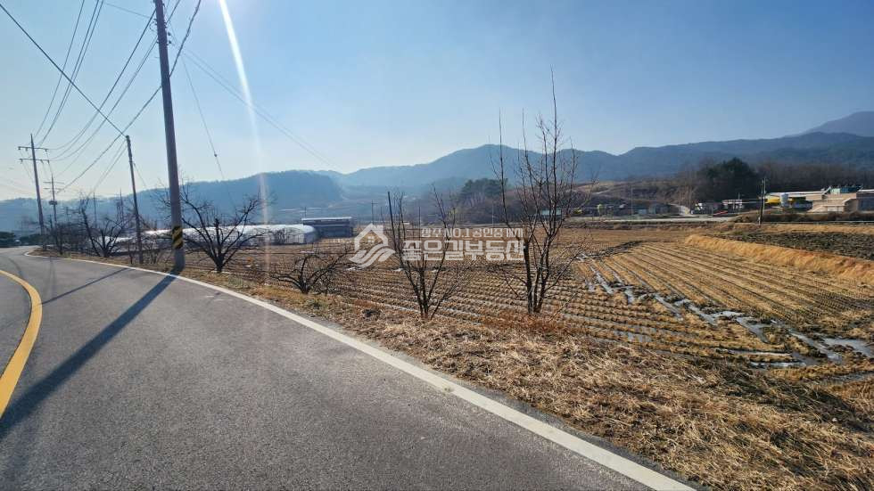 경북 상주시 연원동 연원동 2차선도로접 진흥구역 농지(답1,500평) 매매 매물번호 11420 사진 2