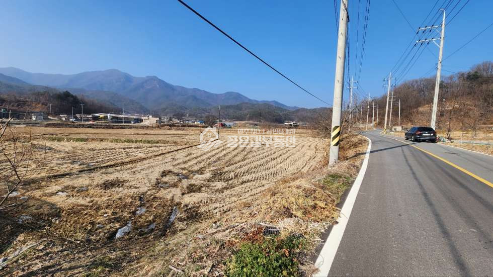 경북 상주시 연원동 연원동 2차선도로접 진흥구역 농지(답1,500평) 매매 매물번호 11420 사진 3