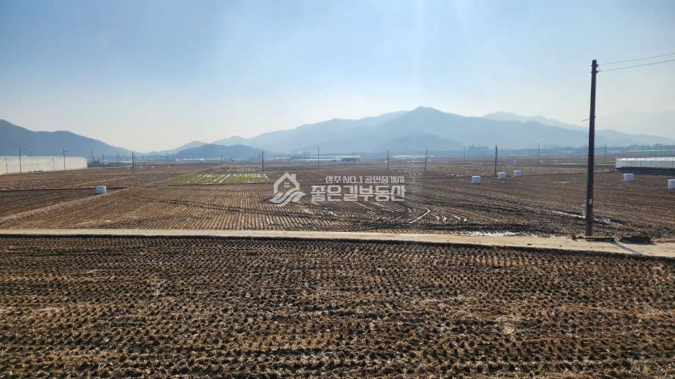 경북 상주시 화산동 화산뜰 생산녹지 농지(답1,210평) 매매 매물번호 11453 사진 4