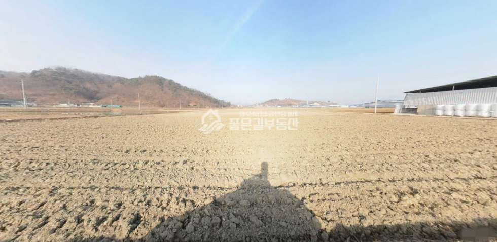 경북 상주시 함창읍 신흥리 함창읍 신흥뜰 경지정리된 농지(답834평) 매매 매물번호 11482 사진 2