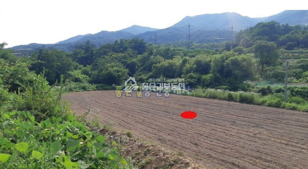 경북 상주시 공성면 영오리 공성면 영오리 외딴곳 농지(답 1,289평) 매매 매물번호 10462 사진 1
