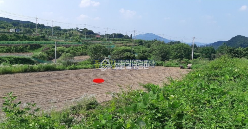 경북 상주시 공성면 영오리 공성면 영오리 외딴곳 농지(답 1,289평) 매매 매물번호 10462 사진 2
