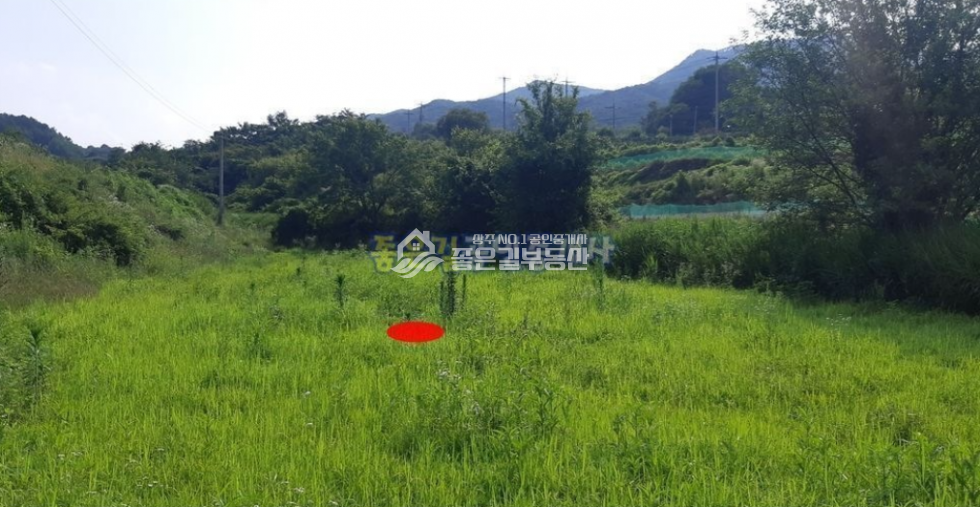 경북 상주시 공성면 영오리 공성면 영오리 외딴곳 농지(답 1,289평) 매매 매물번호 10462 사진 3