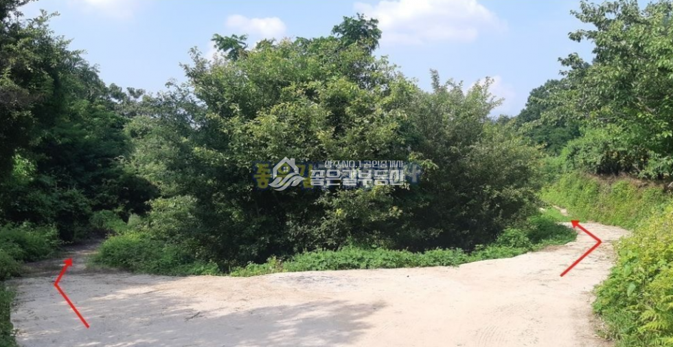 경북 상주시 공성면 영오리 공성면 영오리 외딴곳 농지(답 1,289평) 매매 매물번호 10462 사진 4