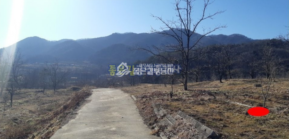 경북 상주시 외남면 소상리 외남면 소상리 전망좋은 농지(전756평) 매매 매물번호 10182 사진 7