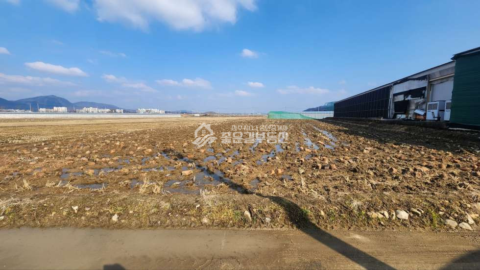 경북 상주시 서곡동 서곡동 농림지역 농지(답667평) 매매 매물번호 11509 사진 1