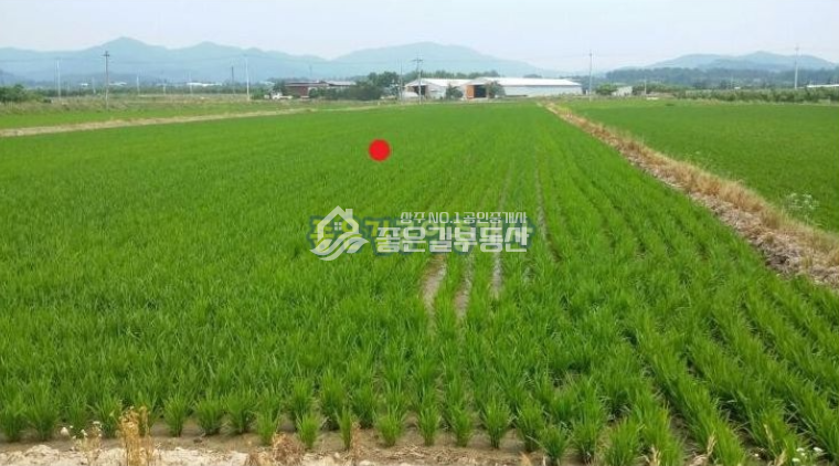 경북 상주시 외남면 신상리 외남면 신상리 마을인근 농지(진흥구역,927평) 매매 매물번호 10002 사진 3