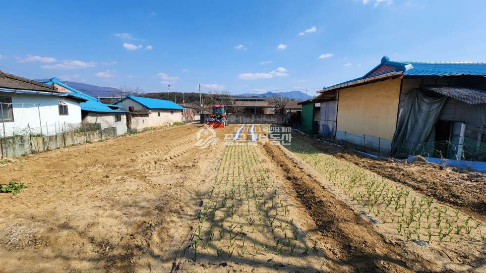 경북 상주시 청리면 덕산리 청리면 덕산리 마을안 주택지(대130평) 매매 매물번호 11564 사진 1