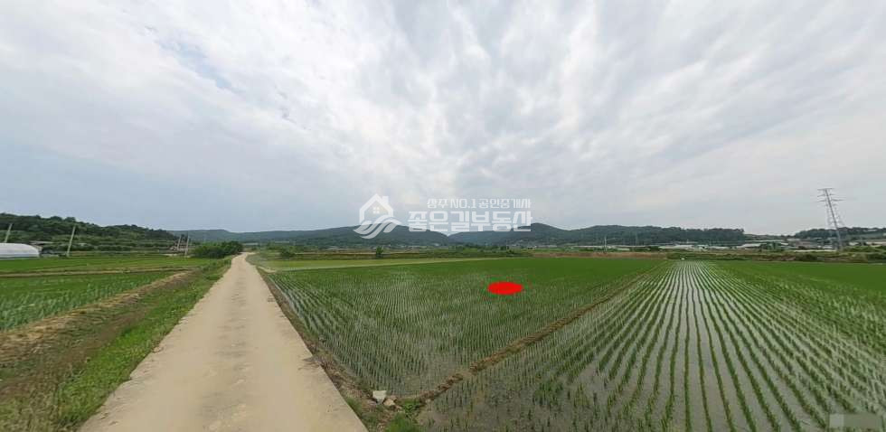 경북 예천군 풍양면 괴당리 예천군 풍양면 괴당리 농지(답1,374평) 매매 매물번호 11573 사진 1