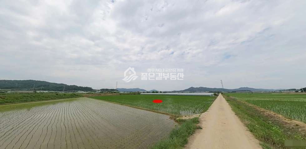경북 예천군 풍양면 괴당리 예천군 풍양면 괴당리 농지(답1,374평) 매매 매물번호 11573 사진 3