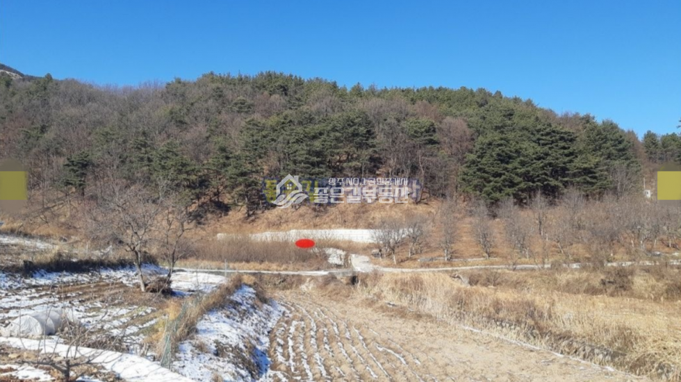 경북 상주시 외서면 백전리 외서면 백전리 전원주택지 전 285평 매매 매물번호 10738 사진 9
