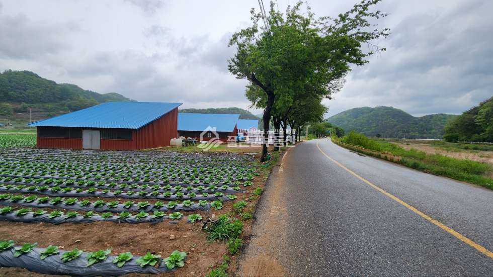 경북 문경시 농암면 종곡리 주1동 문경시 농암면 종곡리 창고(답440평,창고3동) 매매 매물번호 10920 사진 1