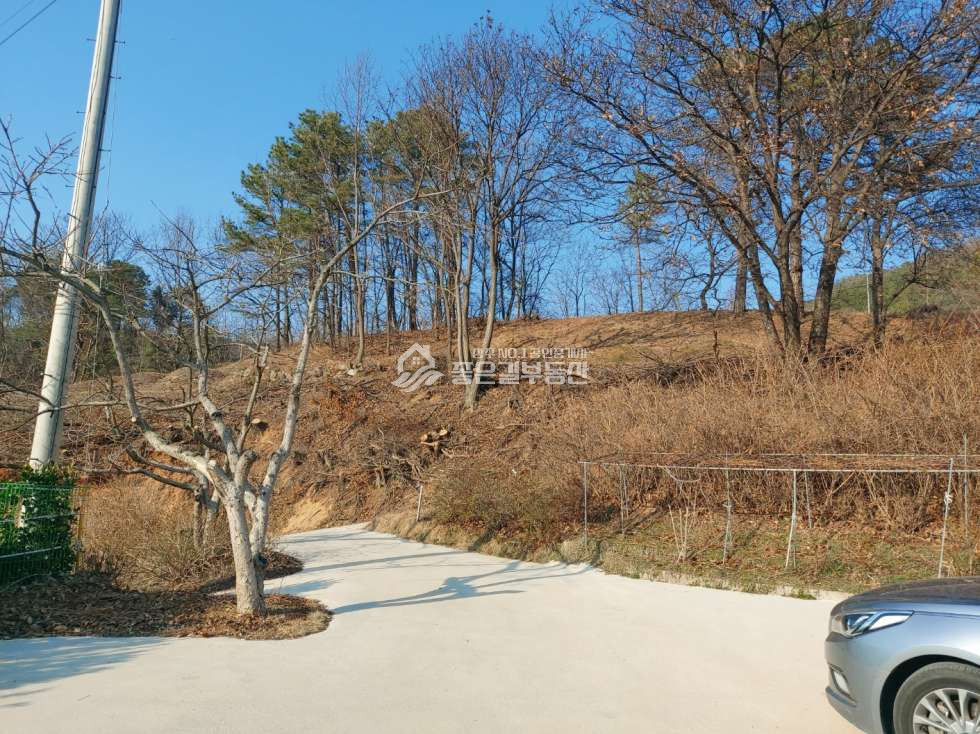 경북 상주시 낙동면 신오리 신오리 외딴곳 전원주택(대869평,건15평+@) 매매 매물번호 11576 사진 4