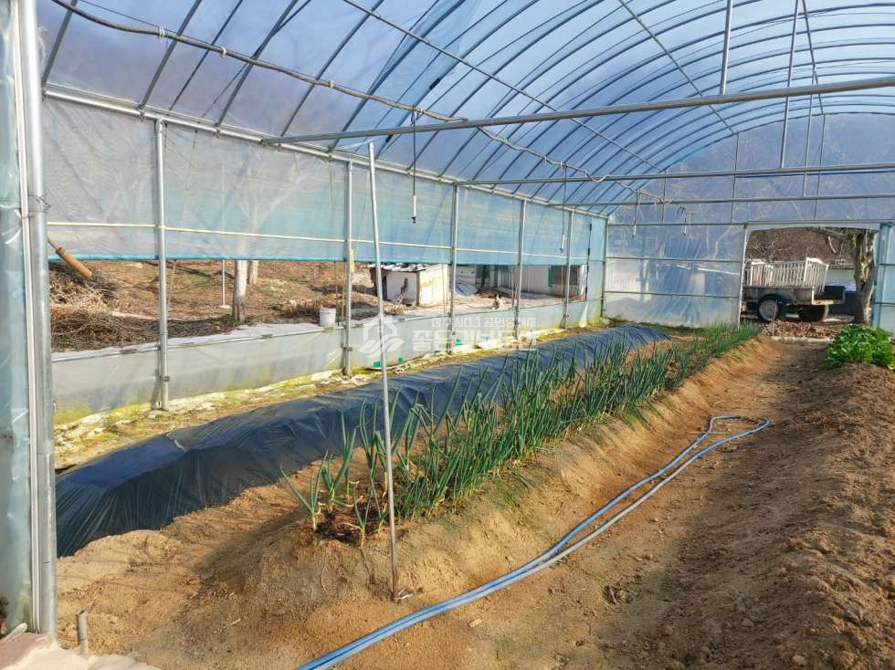 경북 상주시 낙동면 신오리 신오리 외딴곳 전원주택(대869평,건15평+@) 매매 매물번호 11576 사진 7