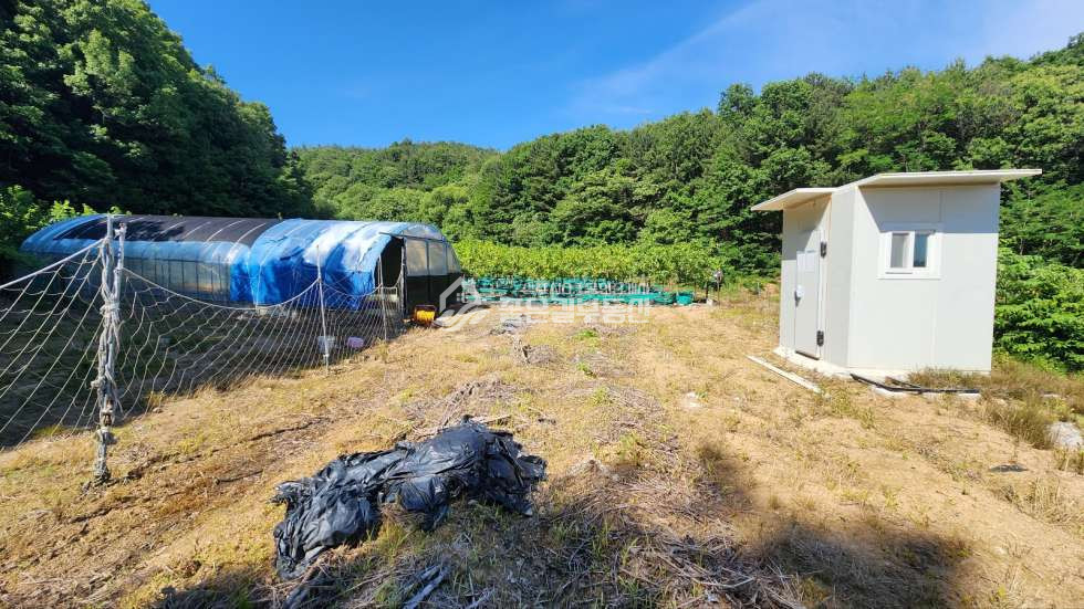 경북 상주시 화동면 판곡리 판곡리 외딴곳 생산관리지역 오디농장(답1,035평) 매매 매물번호 11718 사진 2