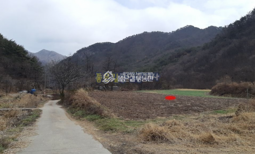 경북 상주시 화북면 상오리 <분할가능>화북면 상오리 계곡 인근 계획관리 답 1,136평 매매 매물번호 10542 사진 1