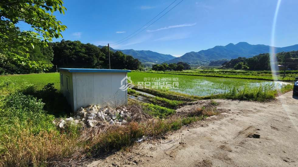 경북 상주시 은척면 문암리 은척면 문암리 농림지역(답567평) 매매 매물번호 11708 사진 4