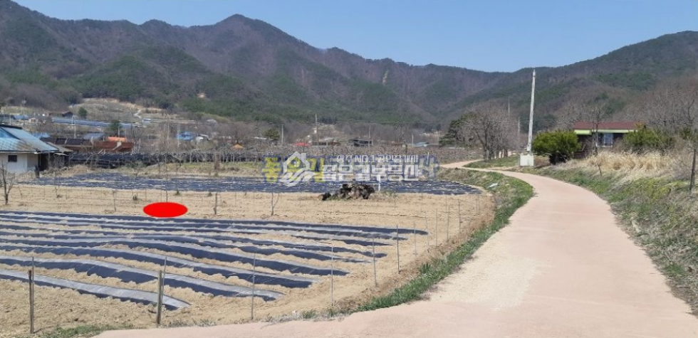 경북 상주시 화서면 상현리 <급매>화서면 상현리 면소재지 인근 개발지(전563평) 매매 매물번호 10216 사진 6