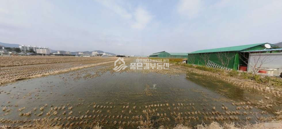 경북 상주시 신봉동 신봉뜰 생산녹지 농지(답604평) 매매 매물번호 11732 사진 2