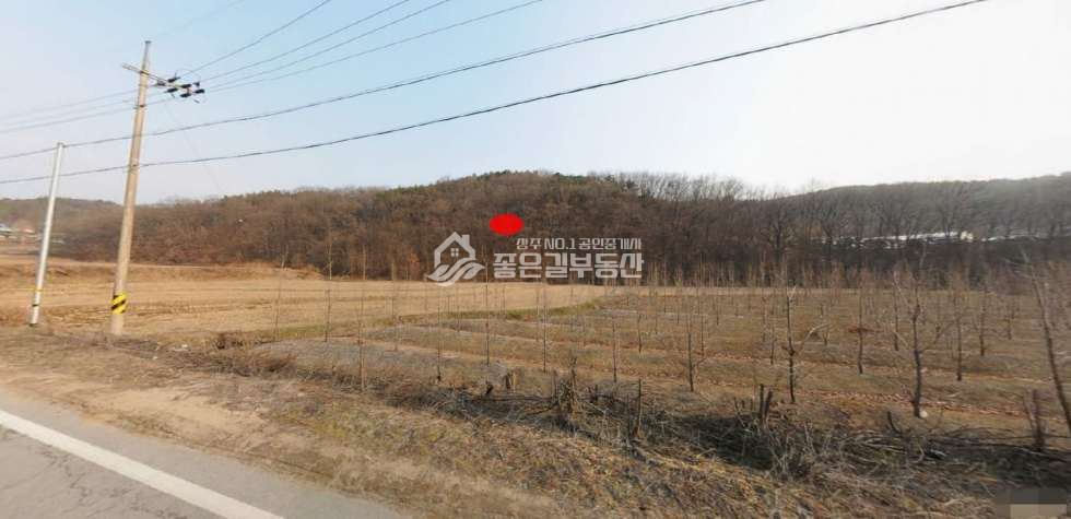 경북 상주시 낙동면 구잠리 낙동면 구잠리 계획관리 임야(약4,920평) 매매 매물번호 11752 사진 2