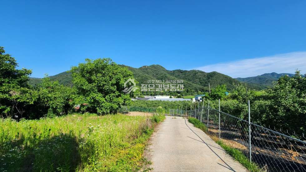 경북 상주시 외서면 이촌리 외서면 이촌리 이안천 인근 집터(전362평) 매매 매물번호 11789 사진 6