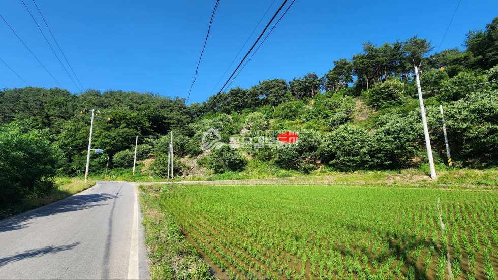 경북 상주시 외서면 백전리 외서면 백전리 임야(약9,010평) 매매 매물번호 11796 사진 4